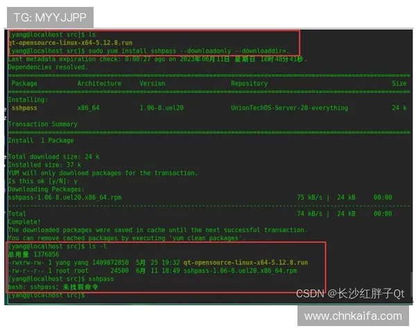 凯发线上网址下载官方最新版,快速安装指南与使用技巧详解